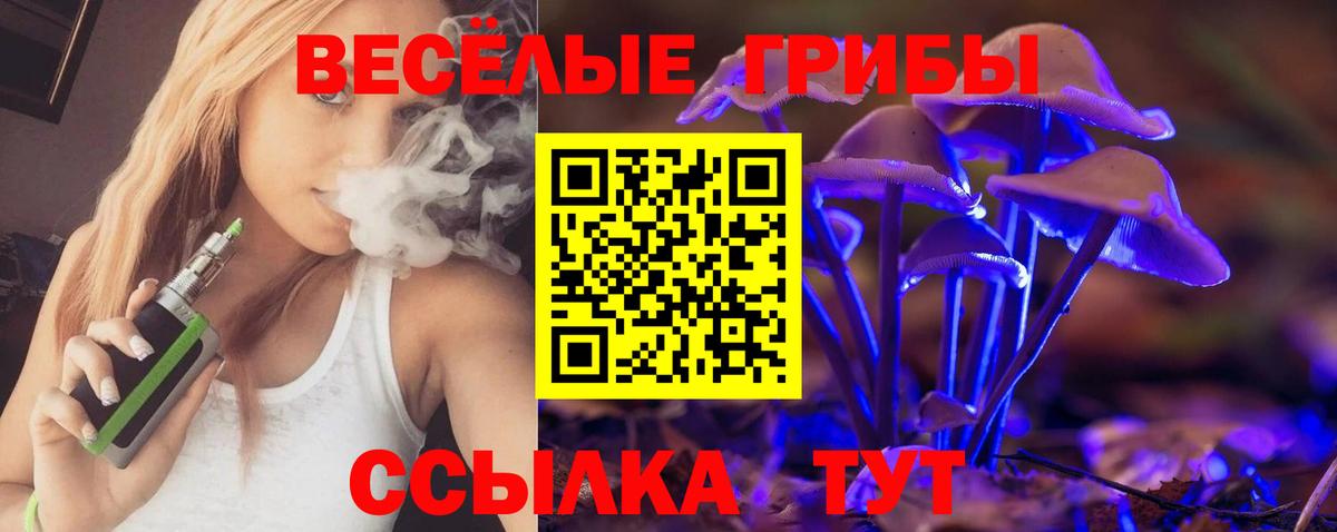 купить   Вход с VPN  Ейск  Псилоцибиновые грибы ЛСД 